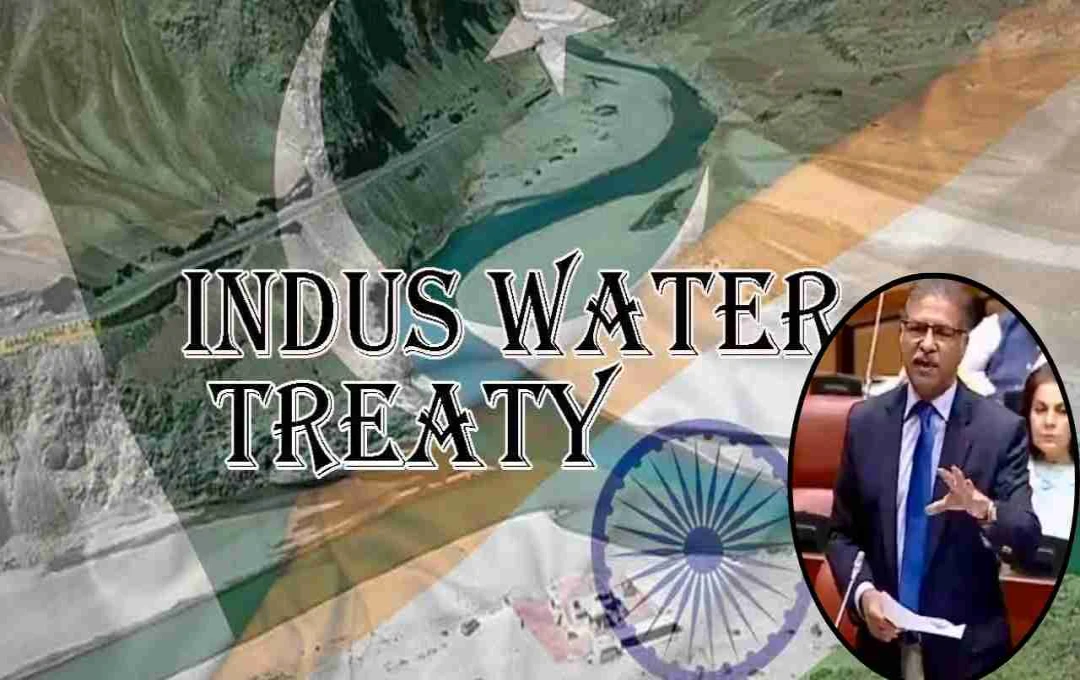 इंडस वाटर ट्रीटी विवाद: पाक सांसद सैयद अली जफर का 'वॉटर बम' पर बयान, जानें क्या कहा?