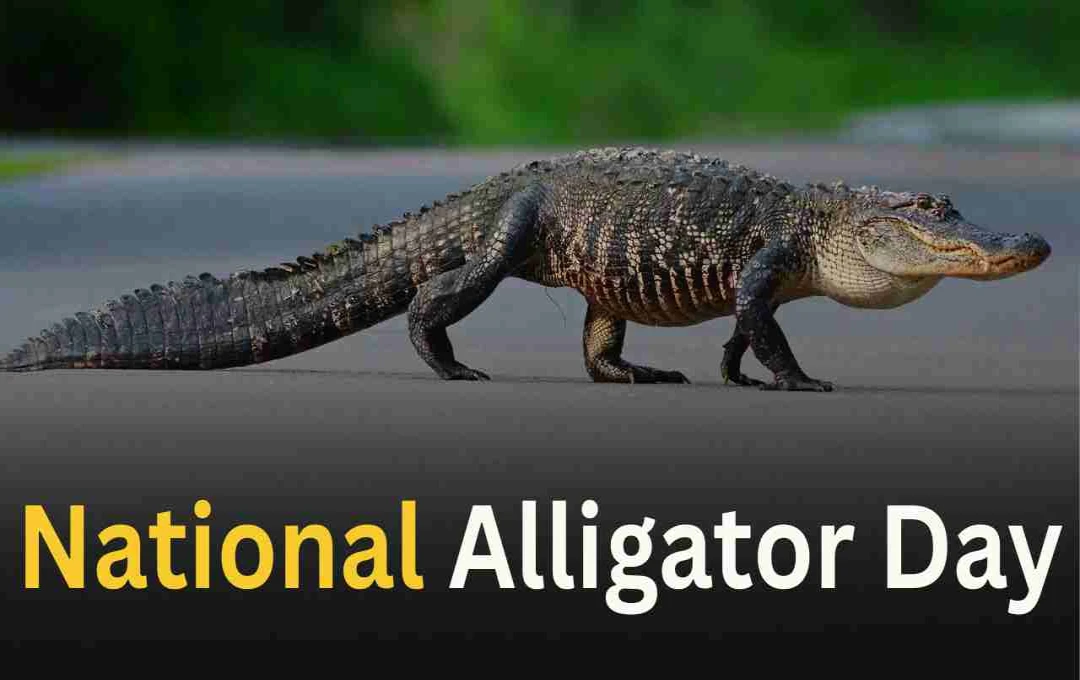 National Alligator Day: एलिगेटर के प्रति सम्मान और जागरूकता का दिन