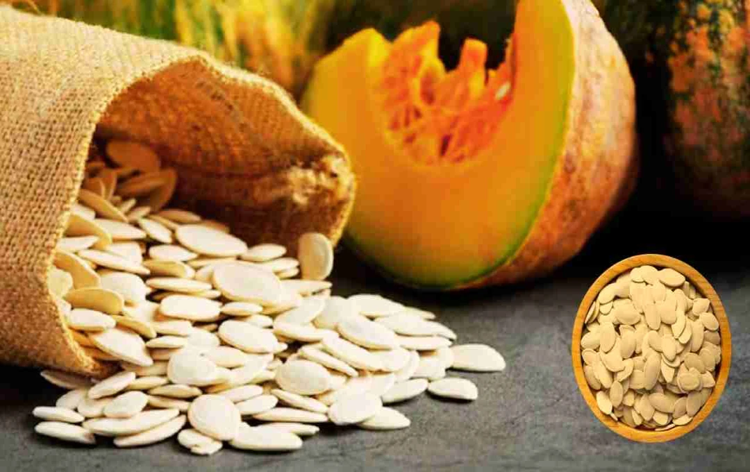 कद्दू के बीज: शरीर के लिए अद्भुत फायदे और सही सेवन का तरीका