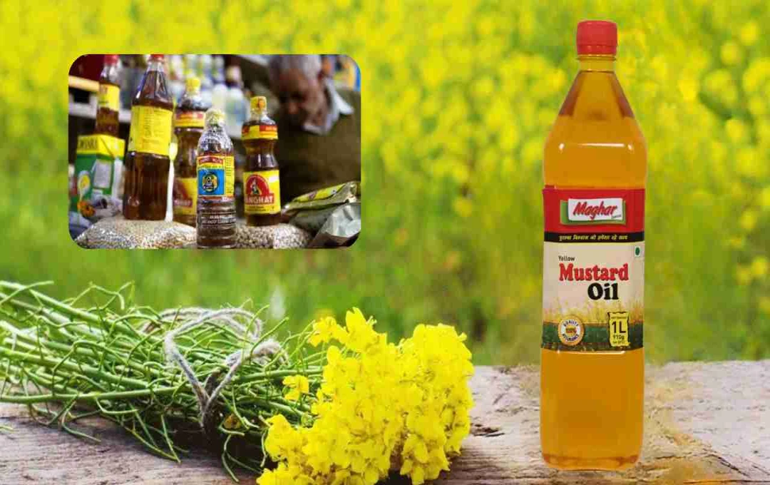 Government Cuts Import Tax on Crude Edible Oil by 10%