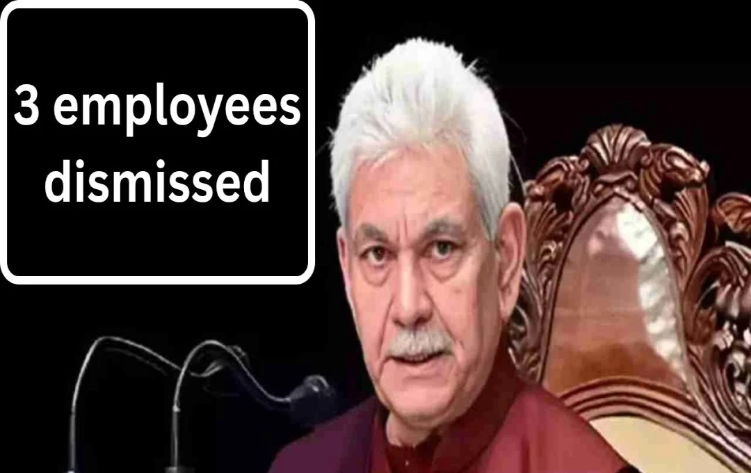 Three Jammu and Kashmir Government Employees Fired Over Terrorism Links