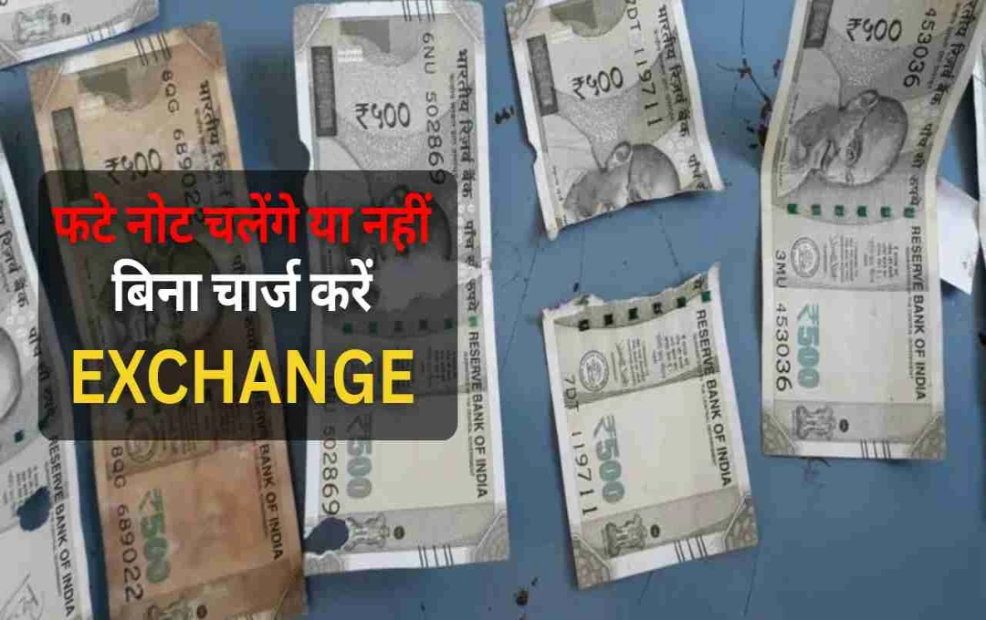फटे नोट की टेंशन खत्म: जानिए बैंक से नया नोट पाने की आसान प्रक्रिया और जरूरी नियम