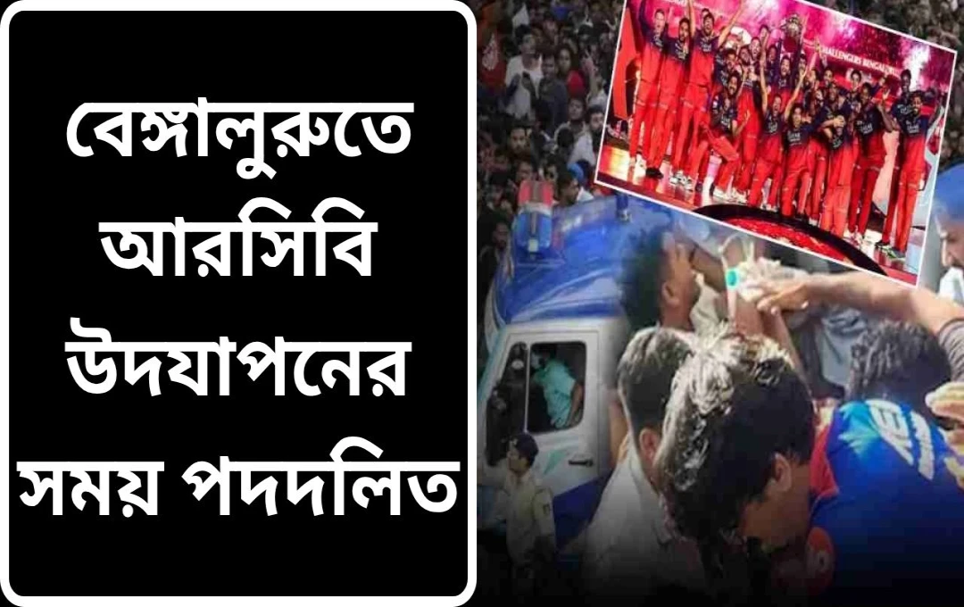 আইপিএল জয়োৎসবের ম্লানতা: ১০ ফ্যানের মৃত্যু, অসংখ্য আহত