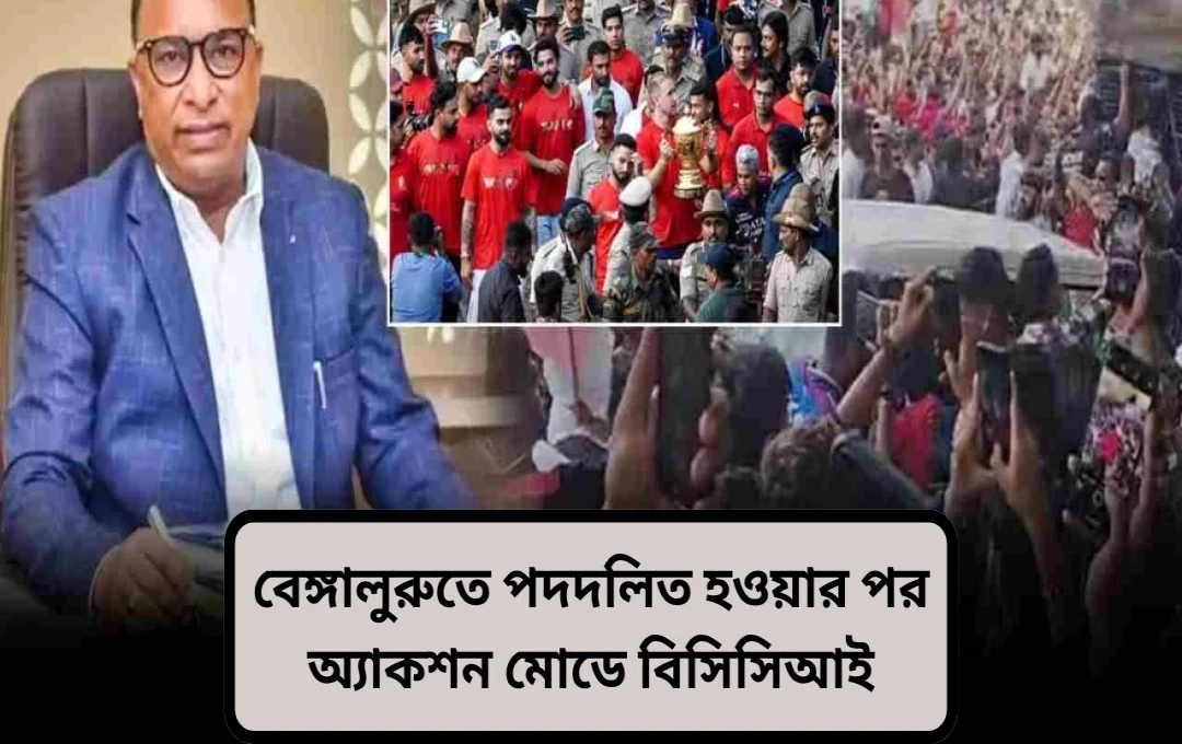 বেঙ্গালুরুতে RCB জয় উৎসব: ১১ জনের মৃত্যুর পর বিসিসিআইয়ের একশন মোড