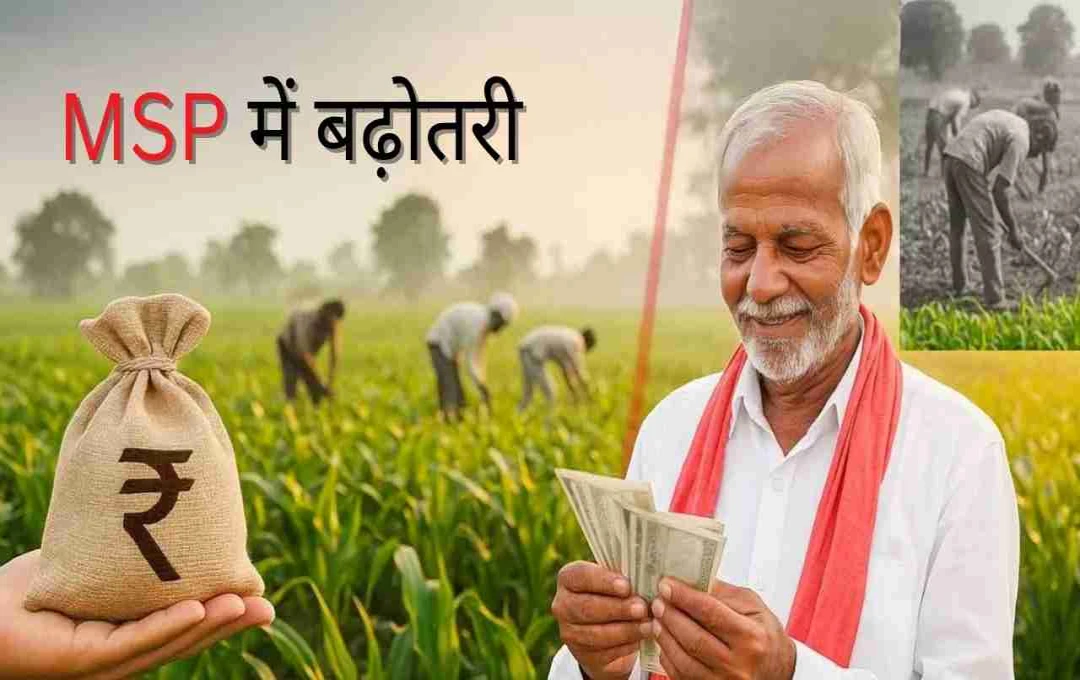 11 सालों में बदली किसानों की किस्मत! सरकार की रिपोर्ट में हुआ बड़ा खुलासा