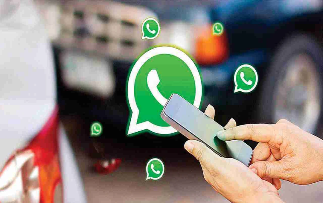 WhatsApp Beta Rolls Out New Photo and Video Auto-Download Quality Control