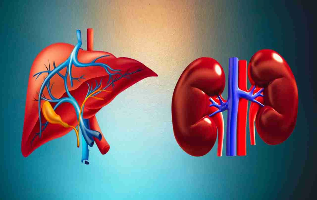 लिवर और किडनी को रखें हेल्दी: जानिए 7 बेस्ट नैचुरल फूड्स जो करेंगे बॉडी को डीटॉक्स