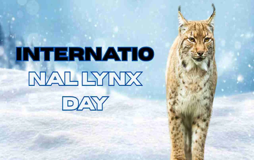 International Lynx Day: Protecting the World's Most Endangered Wildcat