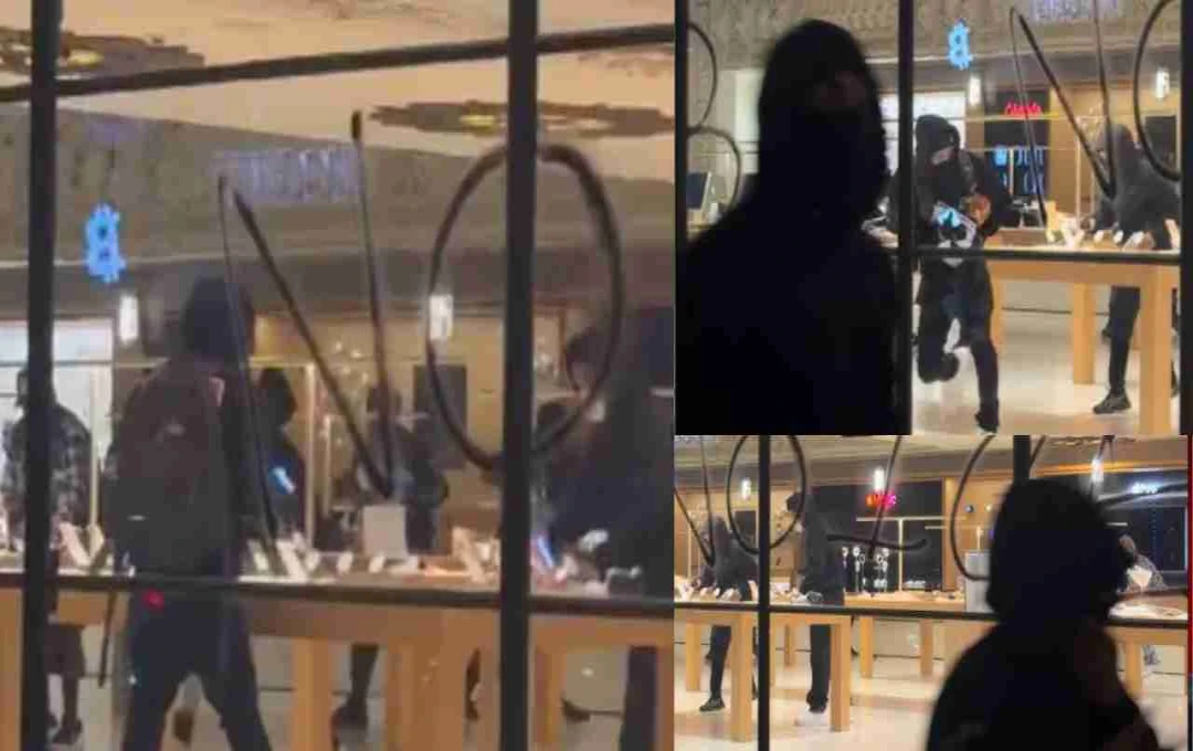 California Violence: लॉस एंजिल्स में प्रदर्शनकारियों ने लूटा एप्पल स्टोर, हिंसा और आगजनी के बीच कर्फ्यू लागू