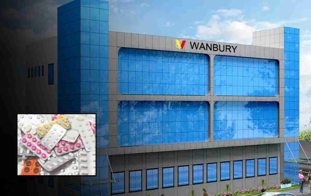 Vanbury Limited: A 1450% Stock Surge in 5 Years
